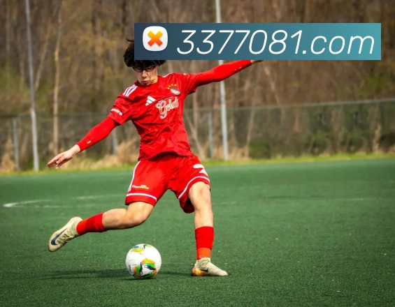 3377APP 封面图